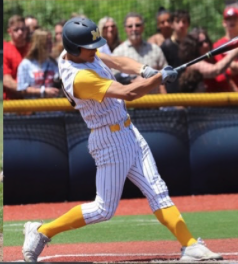 Johnny Castagnozzi batting for Massapequa High School.